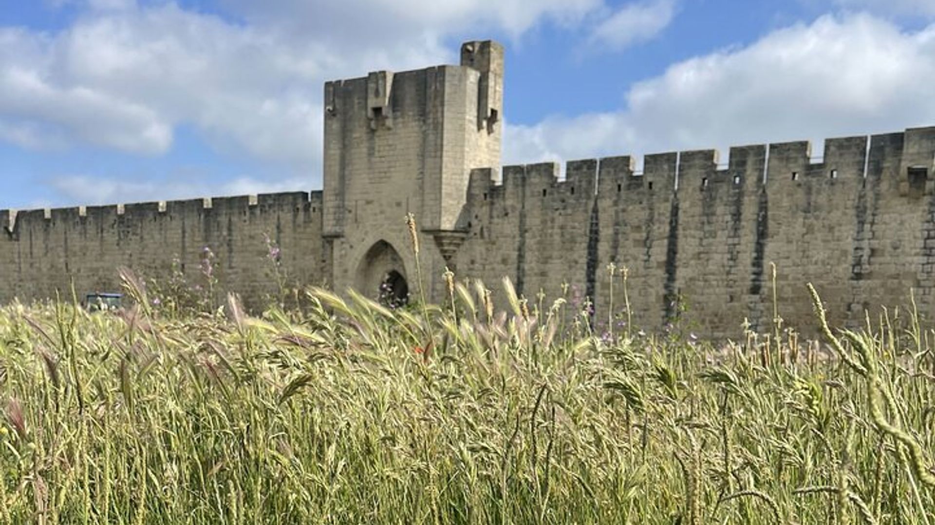 Journée en Camargue Aigues-Mortes et St Marie de la mer