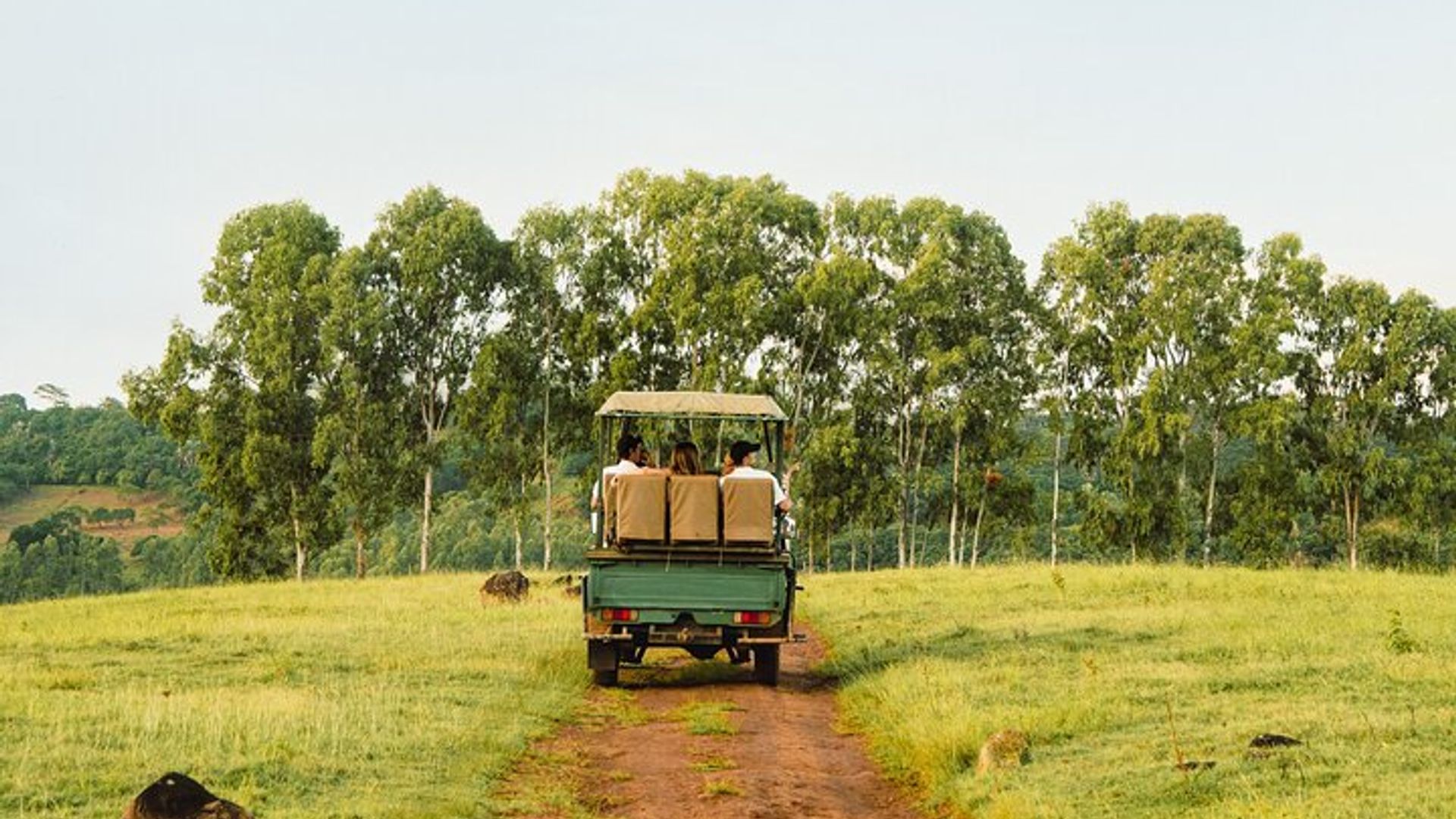 Bel Ombre 4X4 Safari Abenteuer