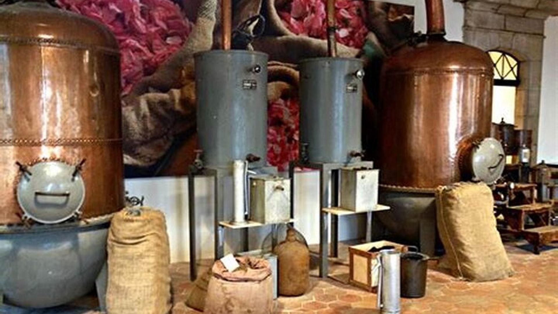 Lokale Weinproben, Parfümerie in Grasse und provenzalische Dörfer