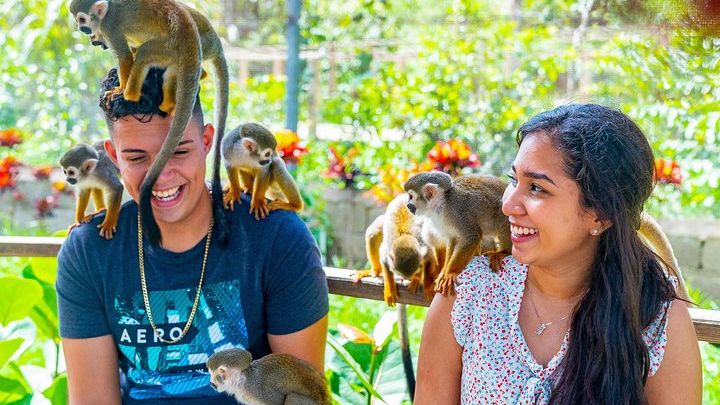 Monkey Land and Group Safari in Puerto Plata