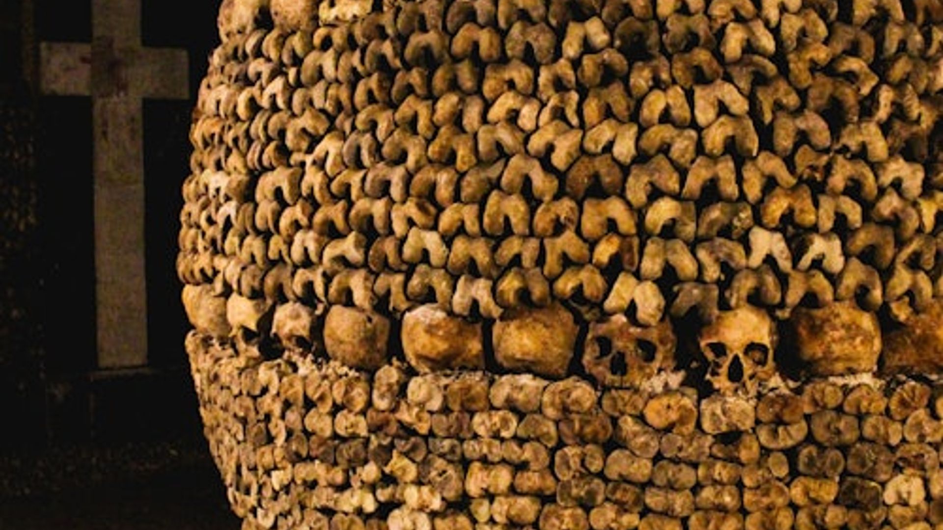 Catacombs of Paris: Entry Ticket + Seine River Cruise + Audio Guide