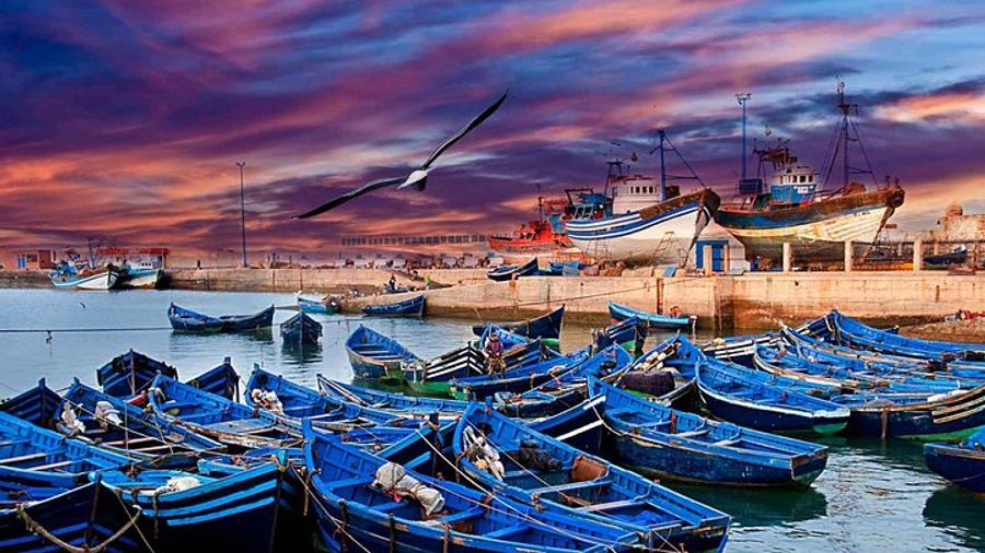 Essaouira Private Full Day Trip From Marrakech