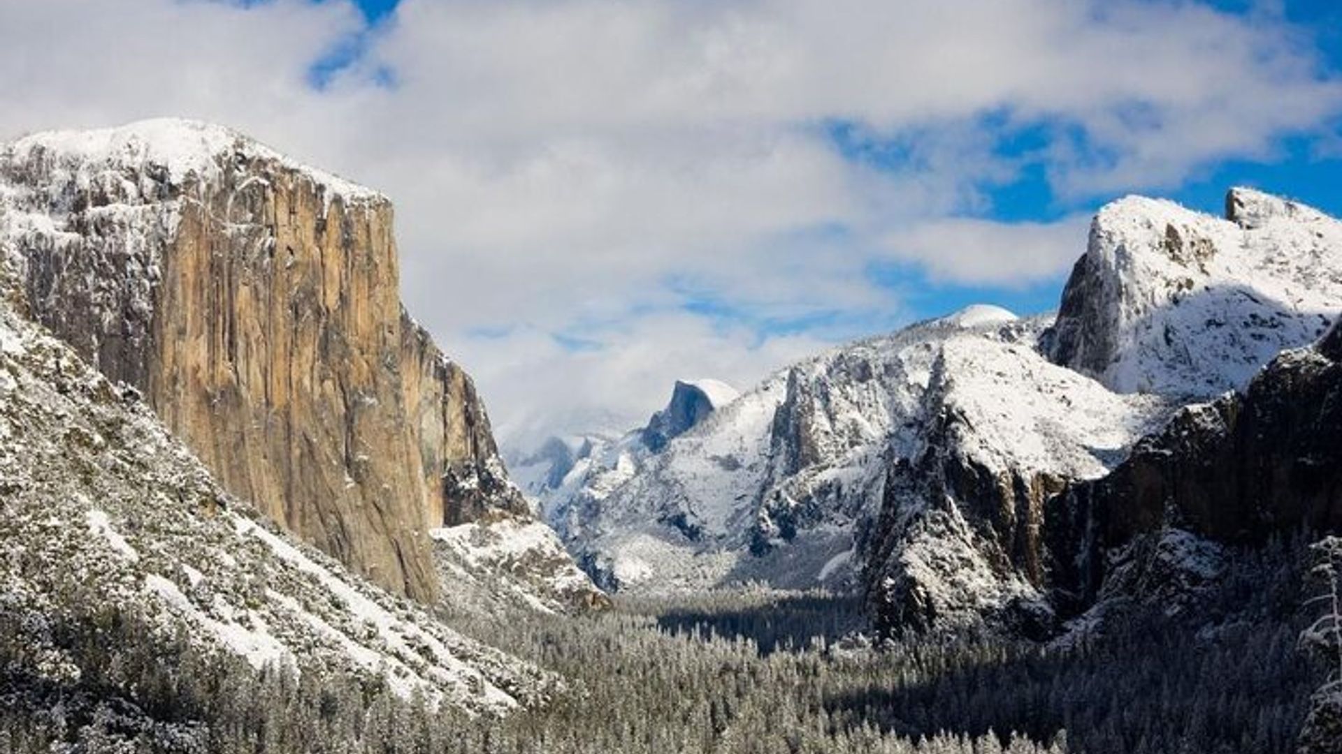 Enchanting Yosemite National Park Tour from San Francisco image 2
