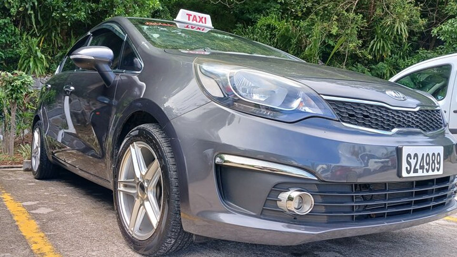 Private Transfer from Hotel, Port, and Airport of Seychelles