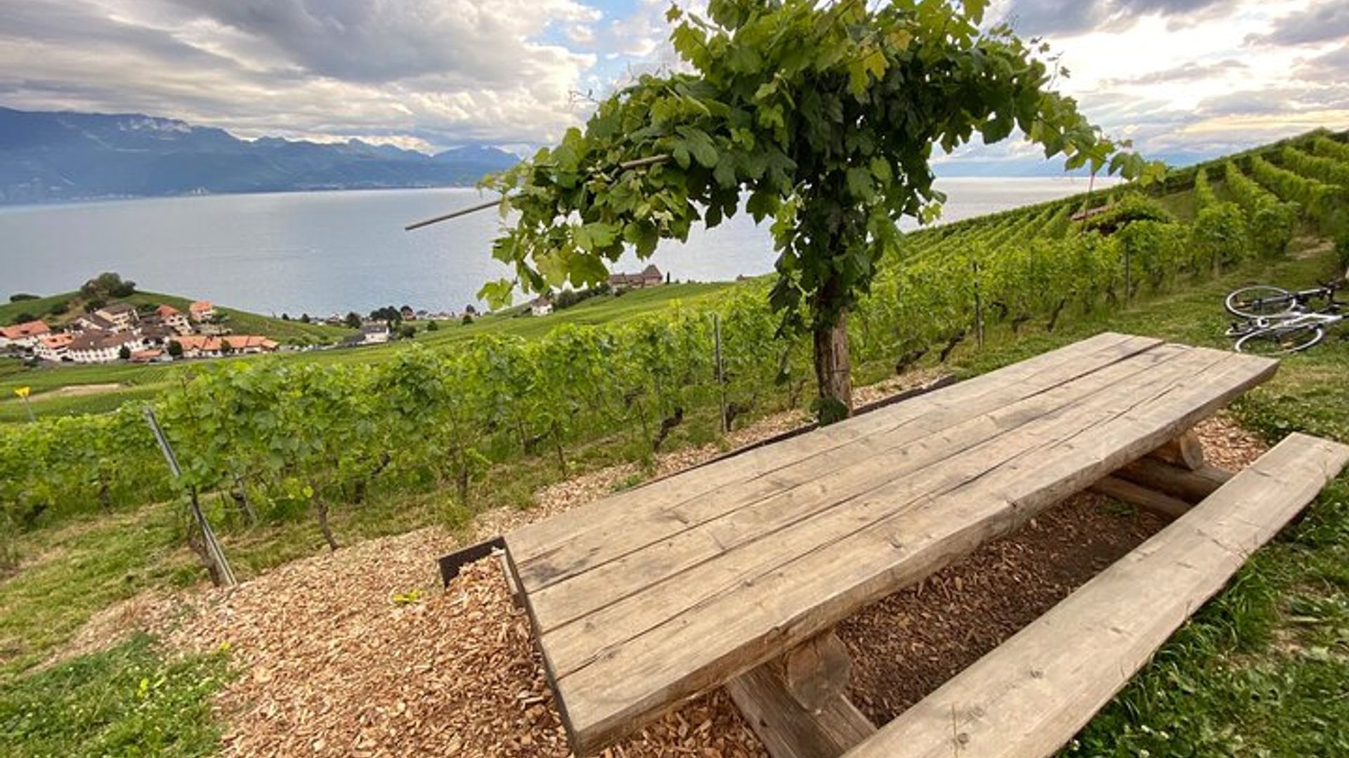 Histoires de vigne : Balade œnologique Lavaux & Lutry