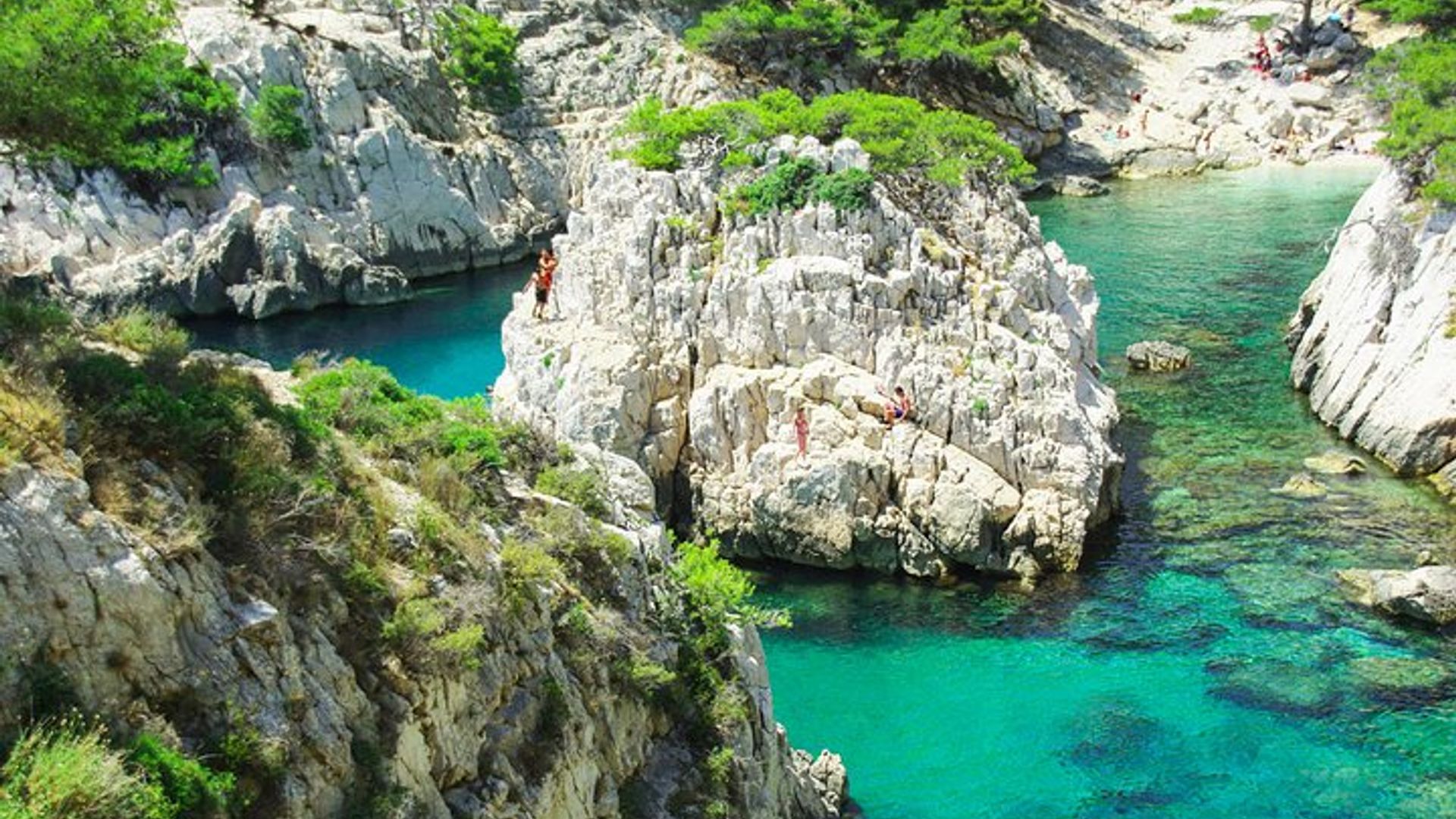 Hiking in the Calanques National park from Marseille