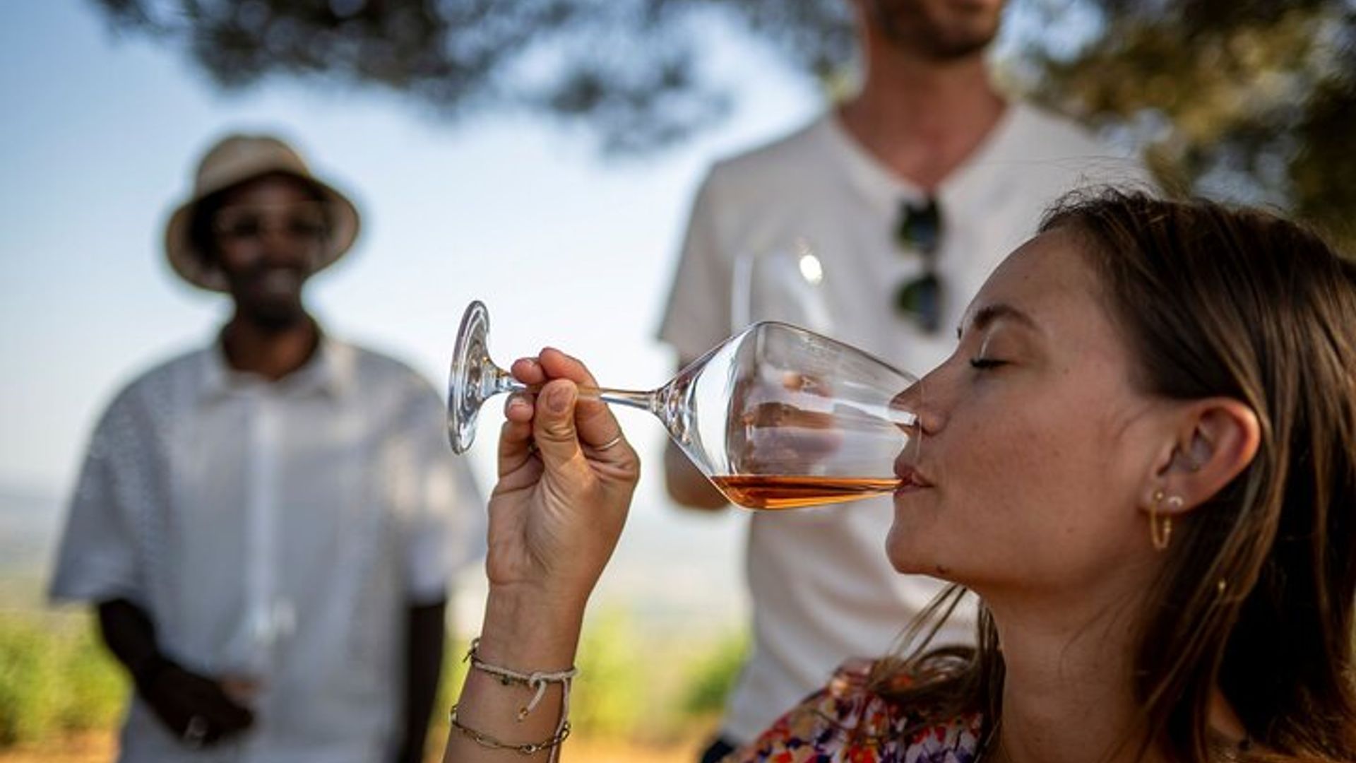 Provence Ganztägige Weinprobe-Weinbergtour in kleiner Gruppe