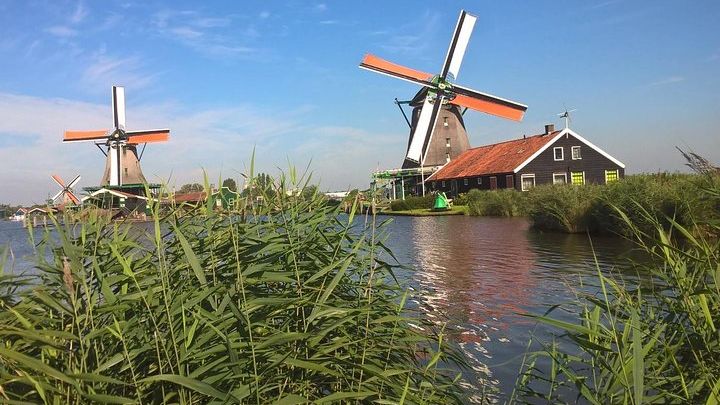 Clogs, Windmills, and Cheese Small-Group Tour from Amsterdam