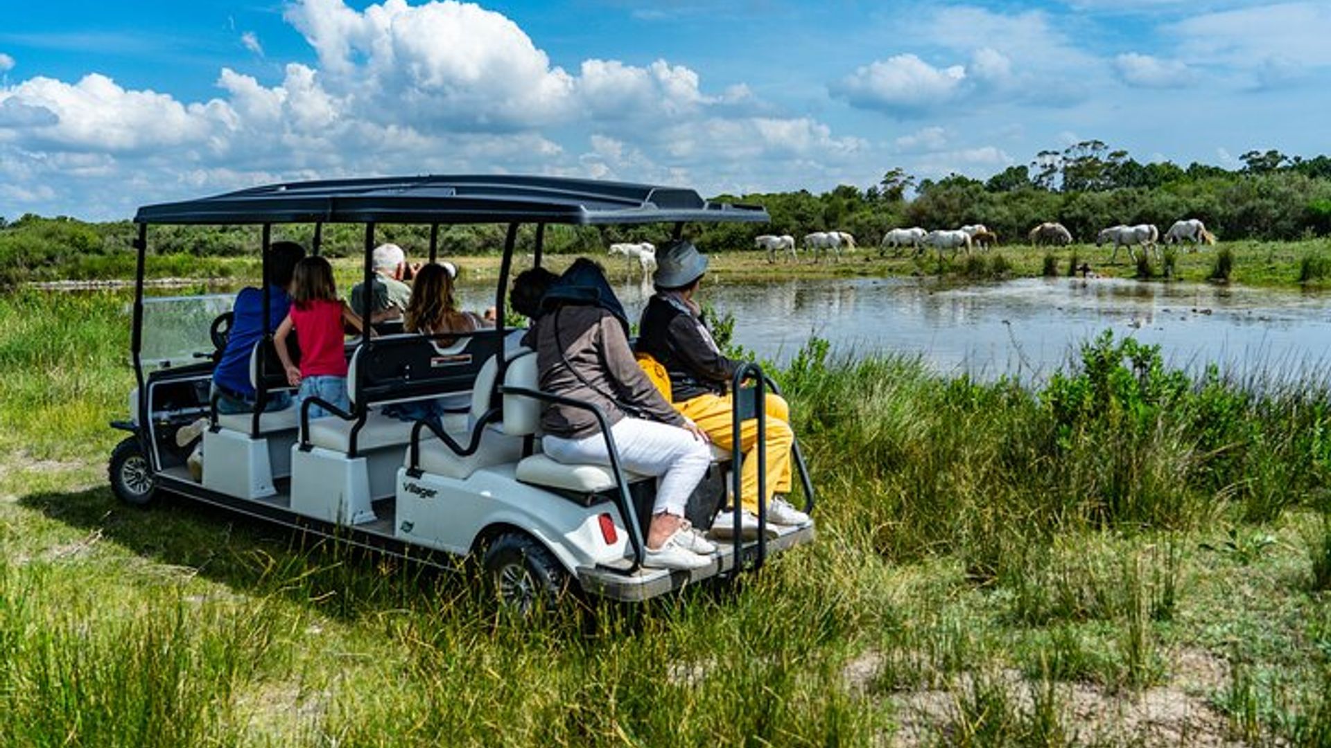 Camargue-Safari mit dem Elektroauto in einem Naturschutzgebiet