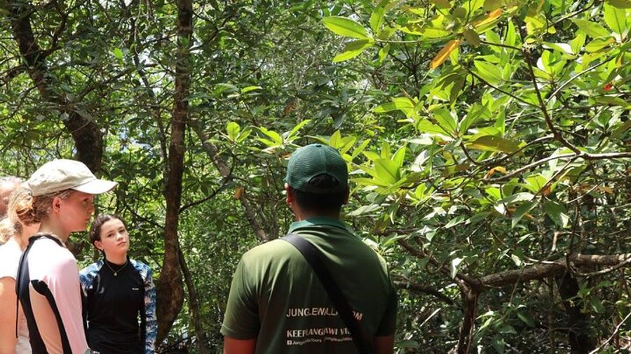 JungleWalla Langkawi Kayaking & Swimming
