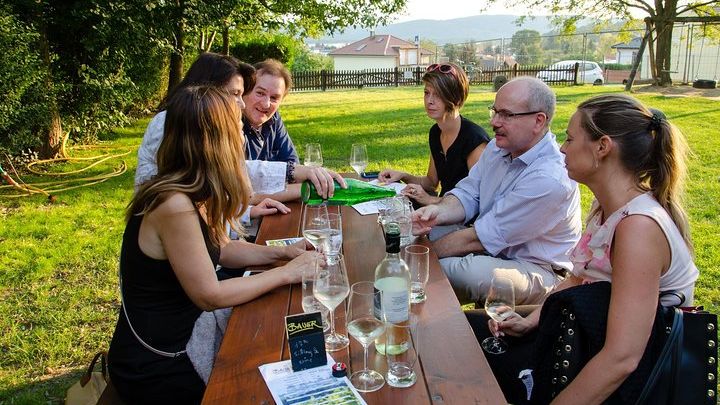 Austria Countryside Half-Day Wine Tour from Vienna