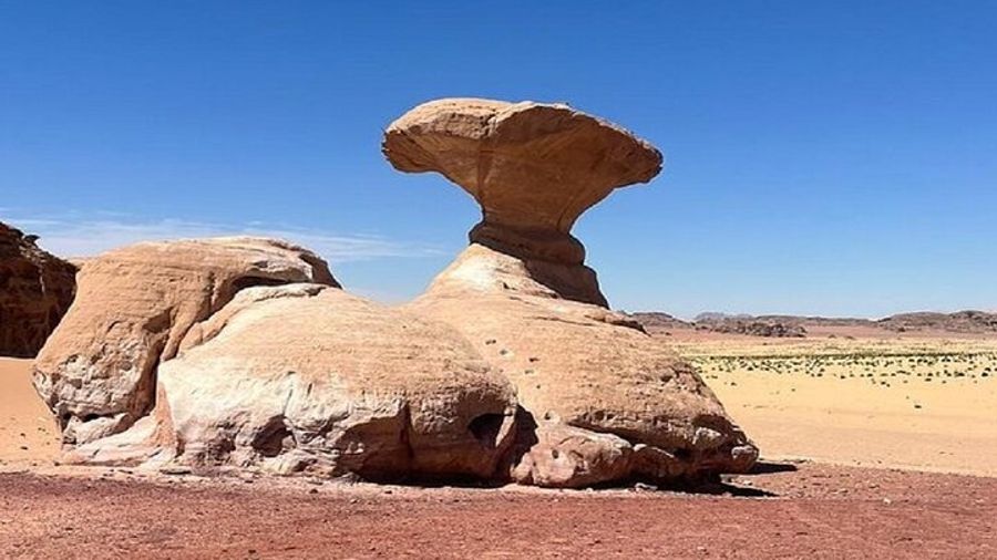 Full Day Tour Petra and Wadi Rum from Amman