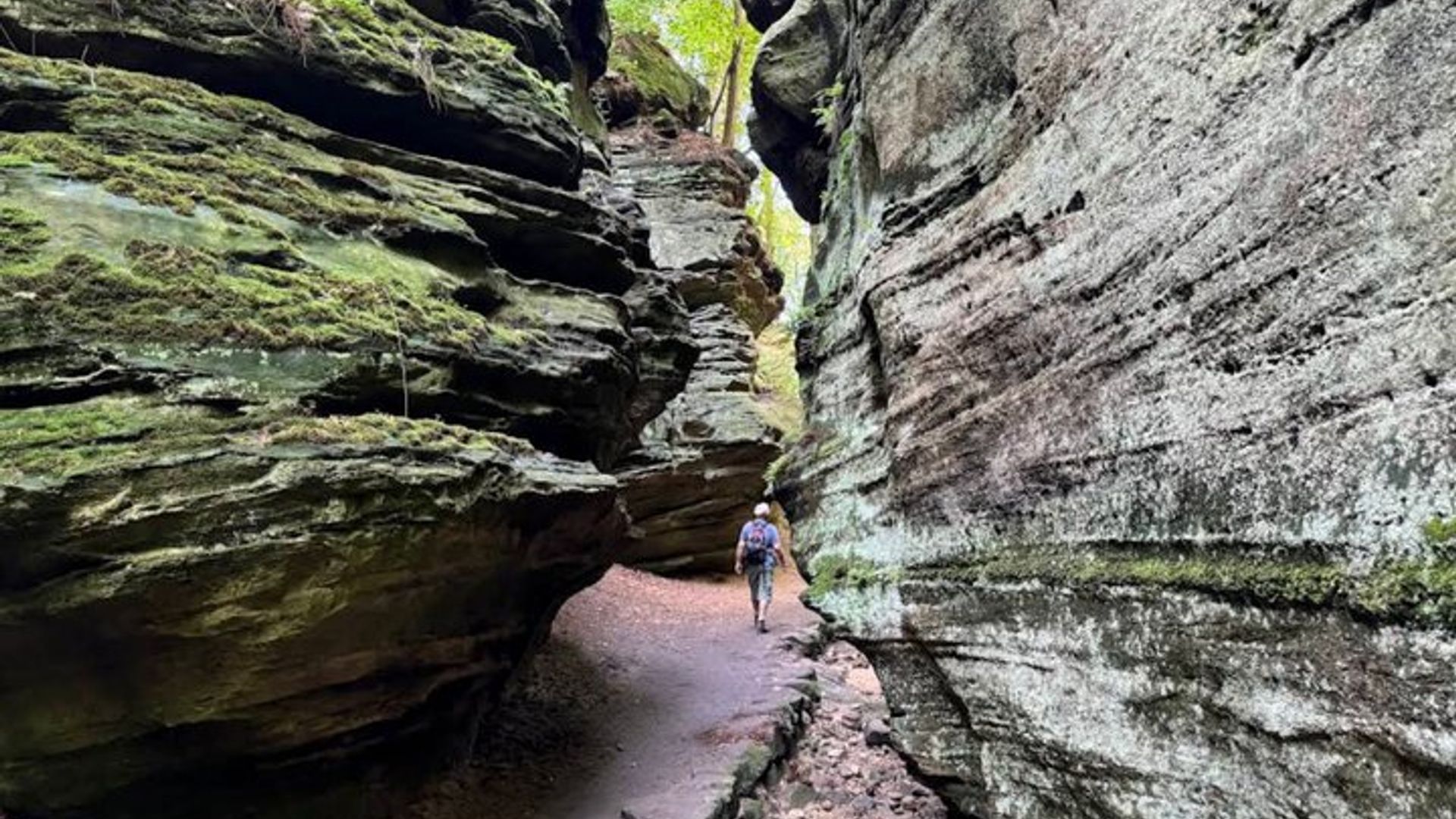 Balade au Mullerthal : Berdorf Rocks, Clifftop Wine & the Wolf's Gorge