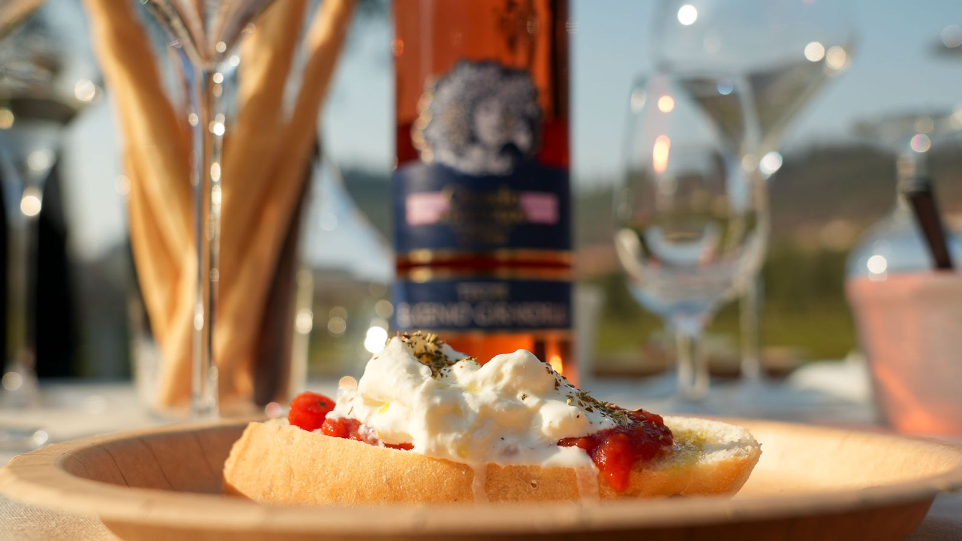 Wine and Gourmet food tasting in Bardolino
