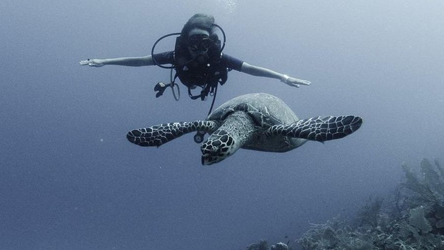 Costa Maya Discover Scuba Diving