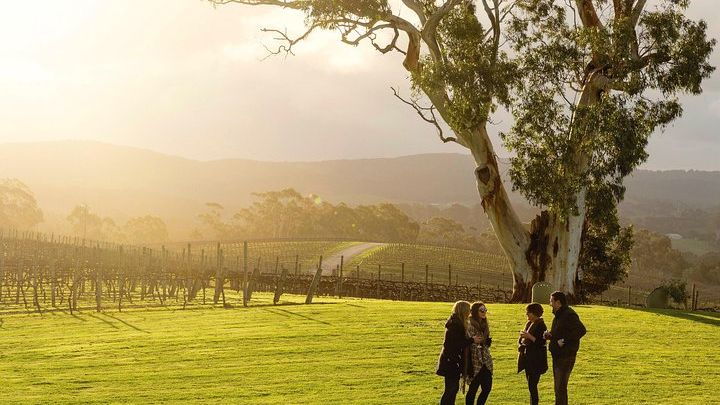 Hahndorf and Adelaide Hills Hop-On Hop-Off Tour from Adelaide