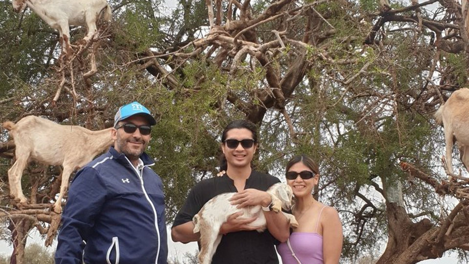 Tour de compras por Marrakech: Alfombras y Argán