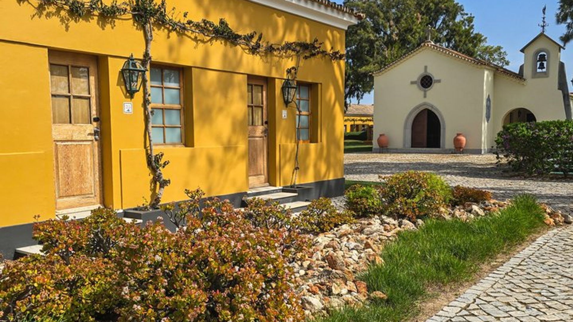 Tavira Roots: Salzpfannen, Oktopus, Thunfisch, Heritage-Weine & Tapas