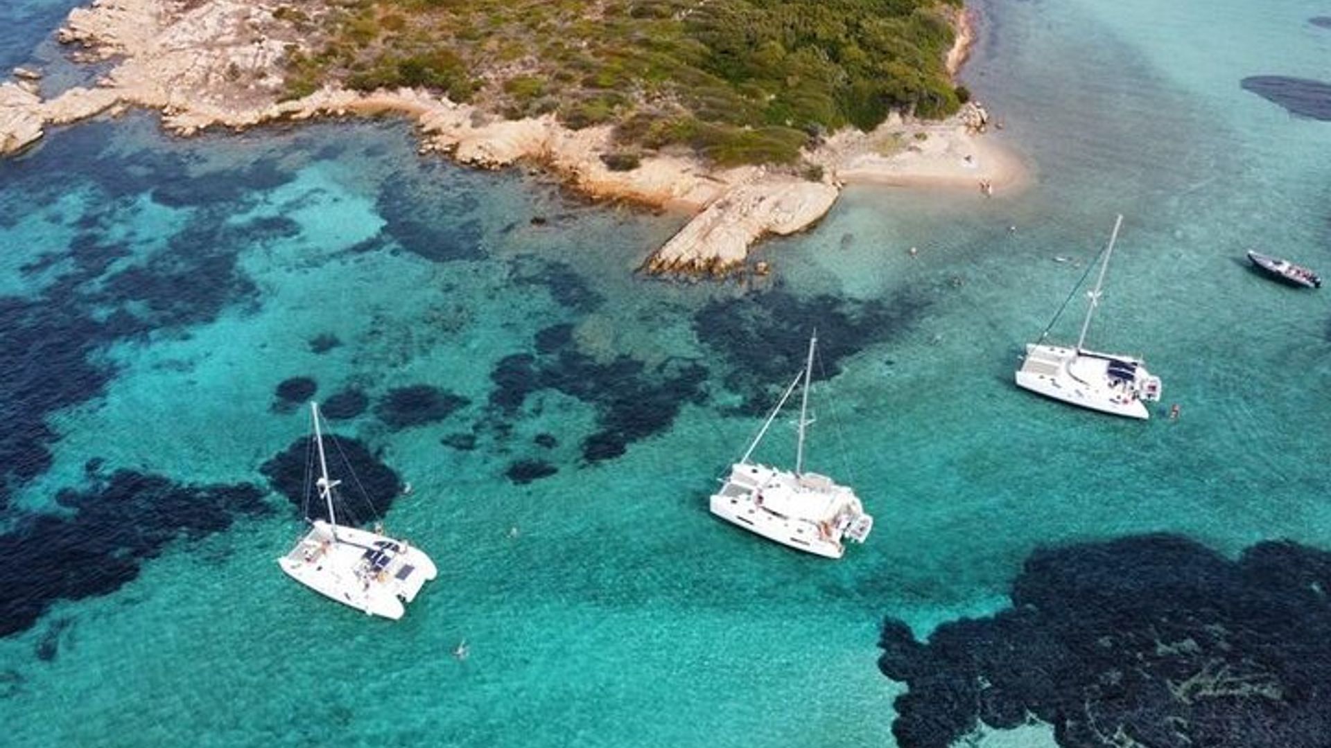 Un tour in catamarano di un'intera giornata alle Maddalene, con pranzo.