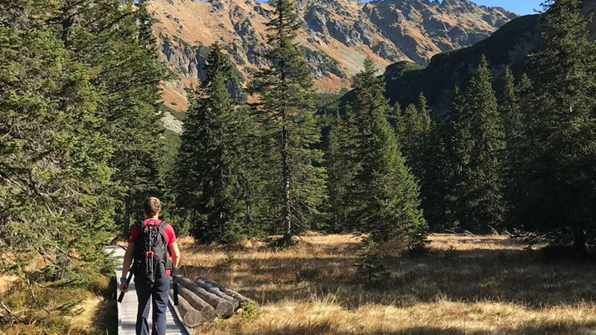 Día completo de senderismo con un guía local en el Alto Tatra