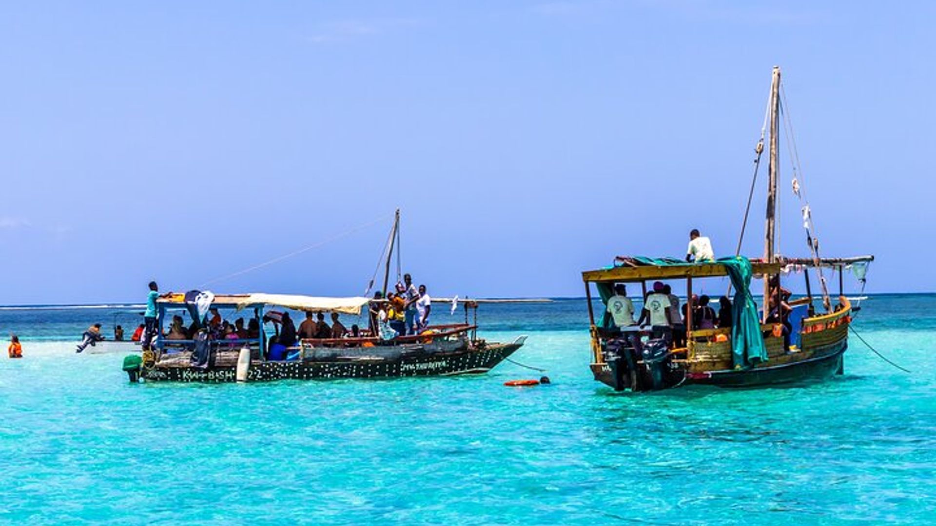 Observation des dauphins et plongée en apnée au parc marin de Kisite et à l'île Wasini