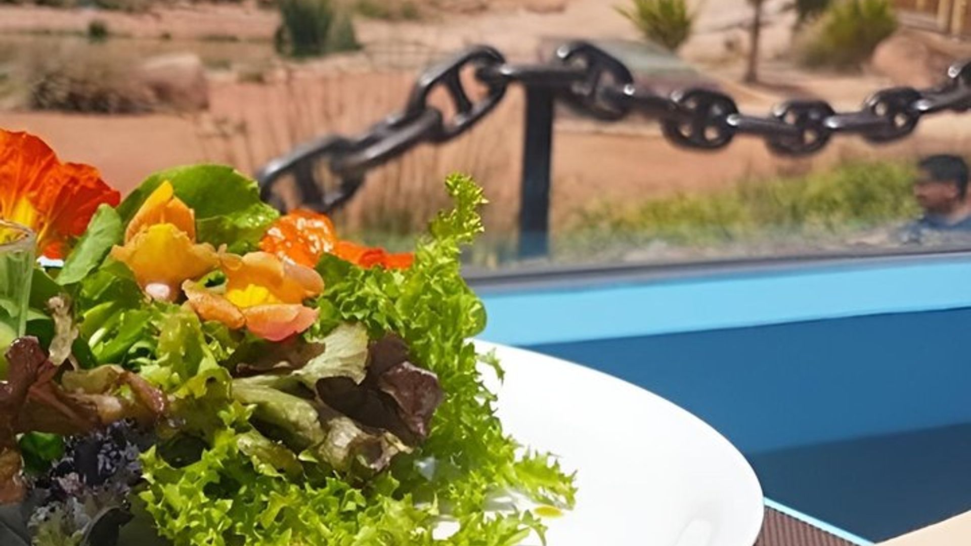 Crocoparc Agadir Day Trip with Round-Trip Transportation