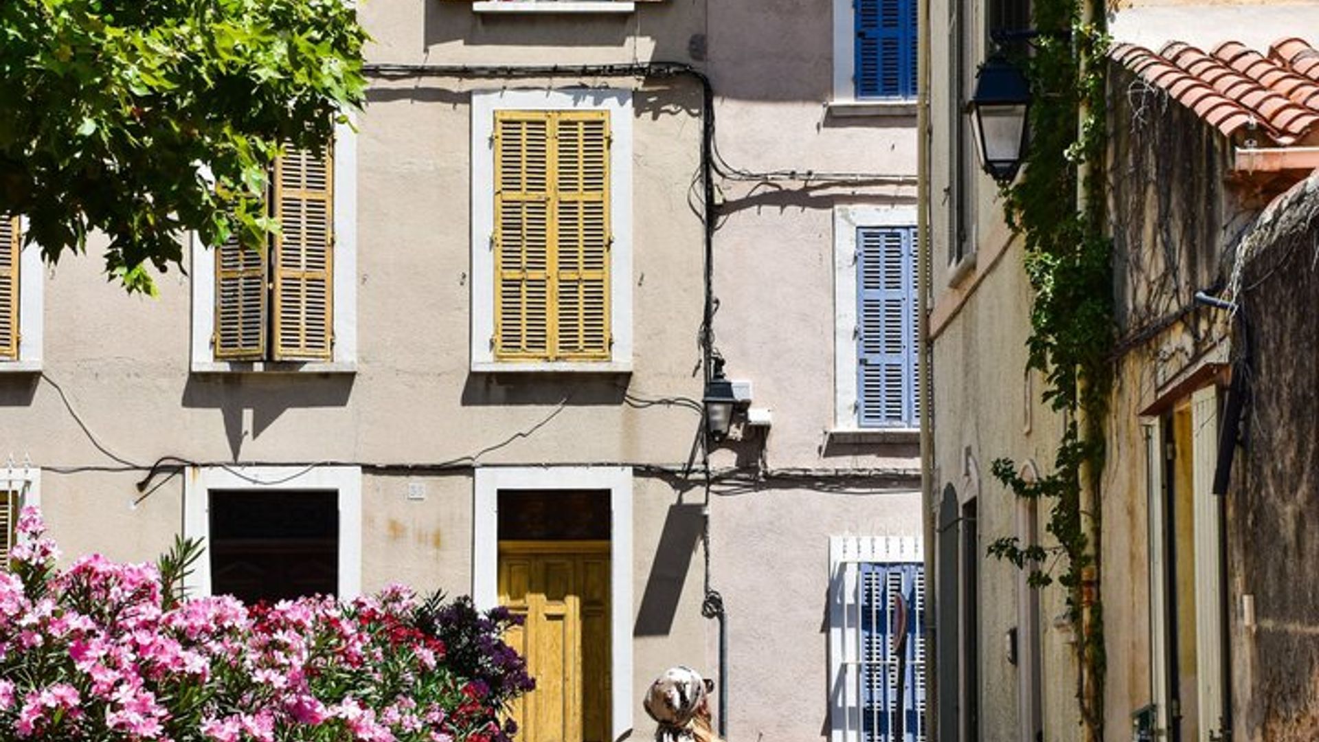 Top Sights of the French Riviera: Cannes, Antibes & Saint-Paul