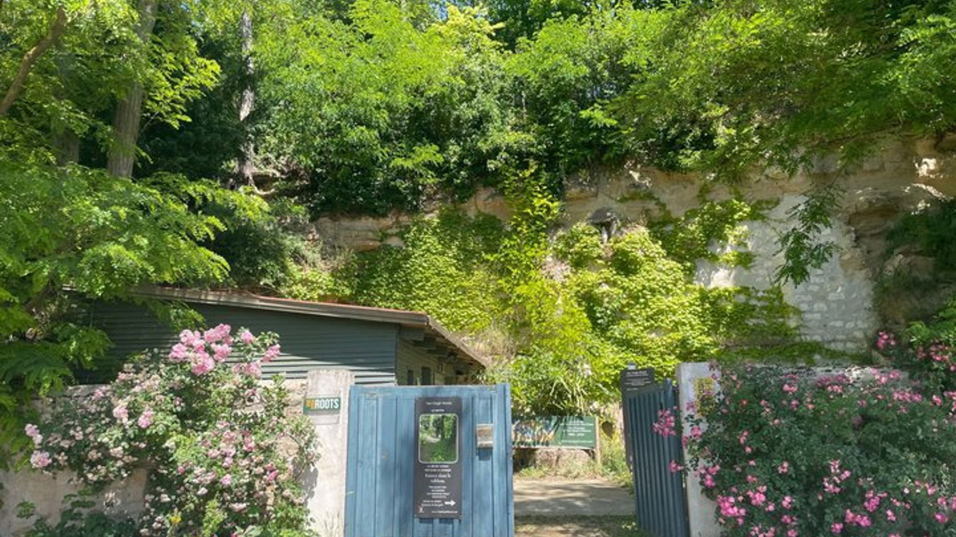 Paris : Visite privée de peinture « Racines d’arbres » à Auvers-sur-Oise