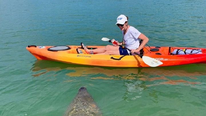 Sarasota Mangrove Tunnel Eco Kayak Tour