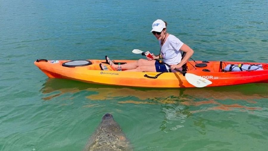 Sarasota Mangrove Tunnel Eco Kayak Tour