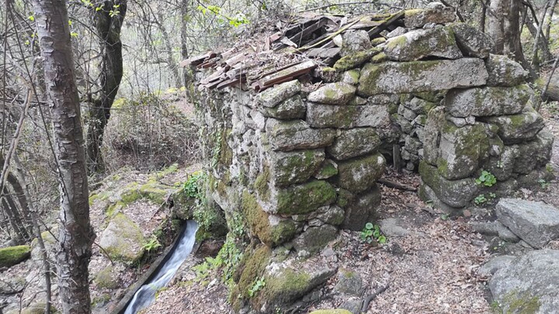 property.imageAlt
