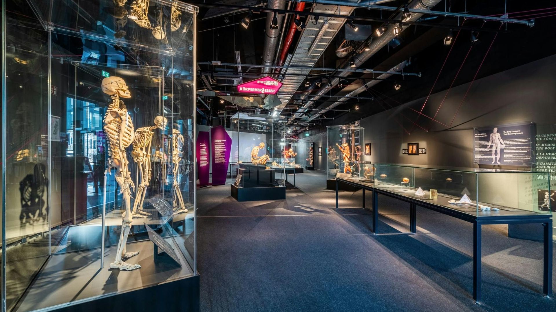 BODY WORLDS Berlin entrance tickets