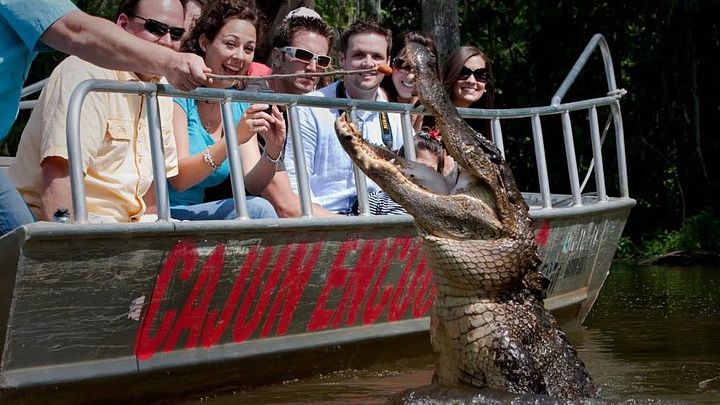 New Orleans 2-Hour Swamp Tour by Boat with Guide
