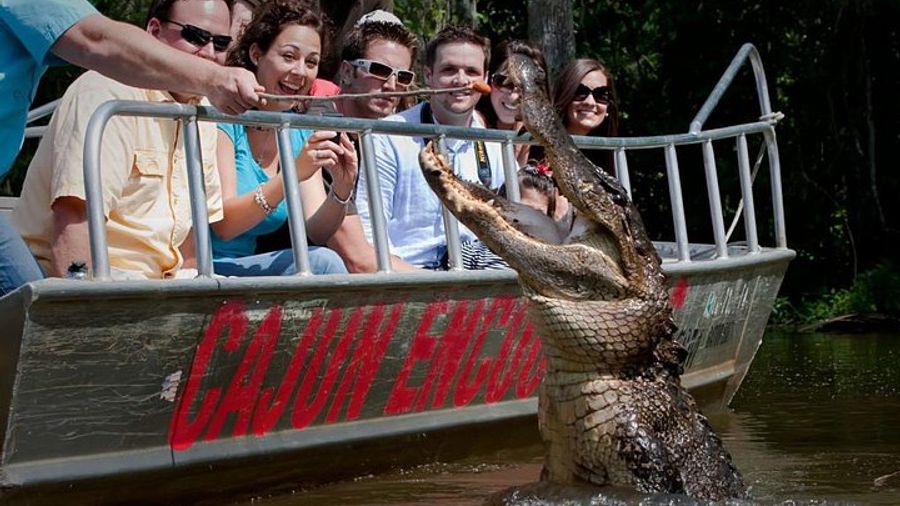 New Orleans 2-Hour Swamp Tour by Boat with Guide