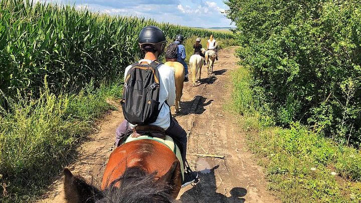 Brasov Small-Group Guided Horse-Riding Countryside Tour