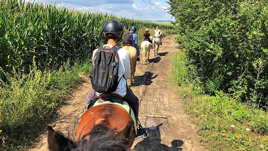 Brasov Small-Group Guided Horse-Riding Countryside Tour