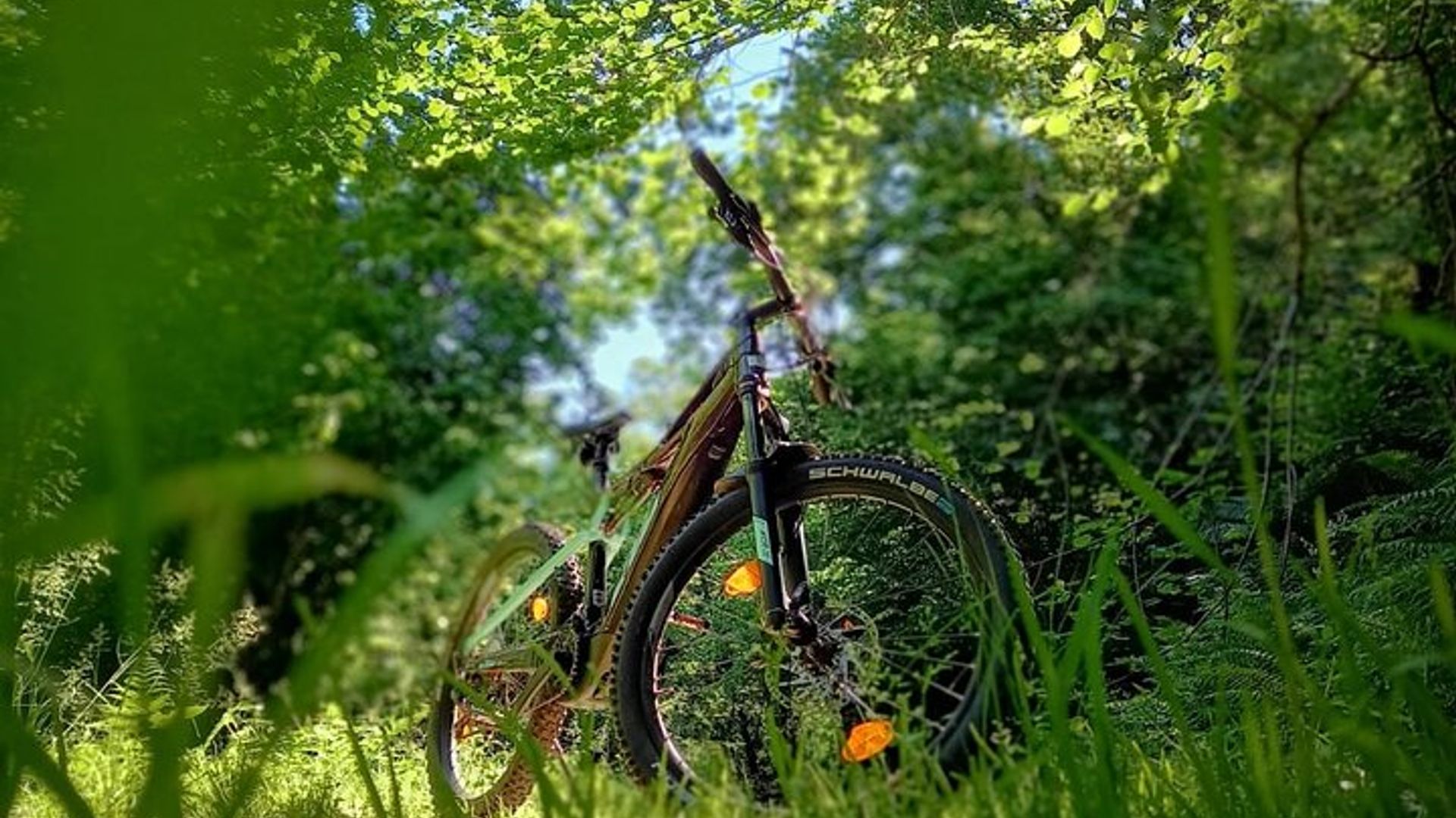 E-bike rental in Maccagno with Pino and Veddasca