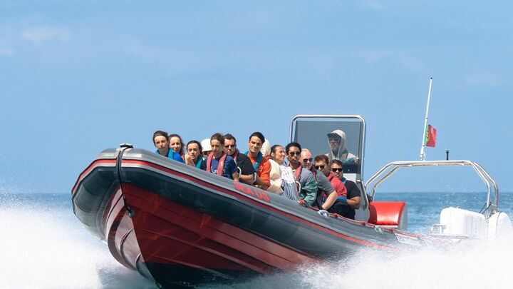 Dolphin Spotting & Benagil Cave Boat Ride from Albufeira