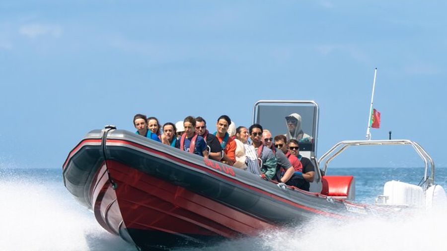 Dolphin Spotting & Benagil Cave Boat Ride from Albufeira