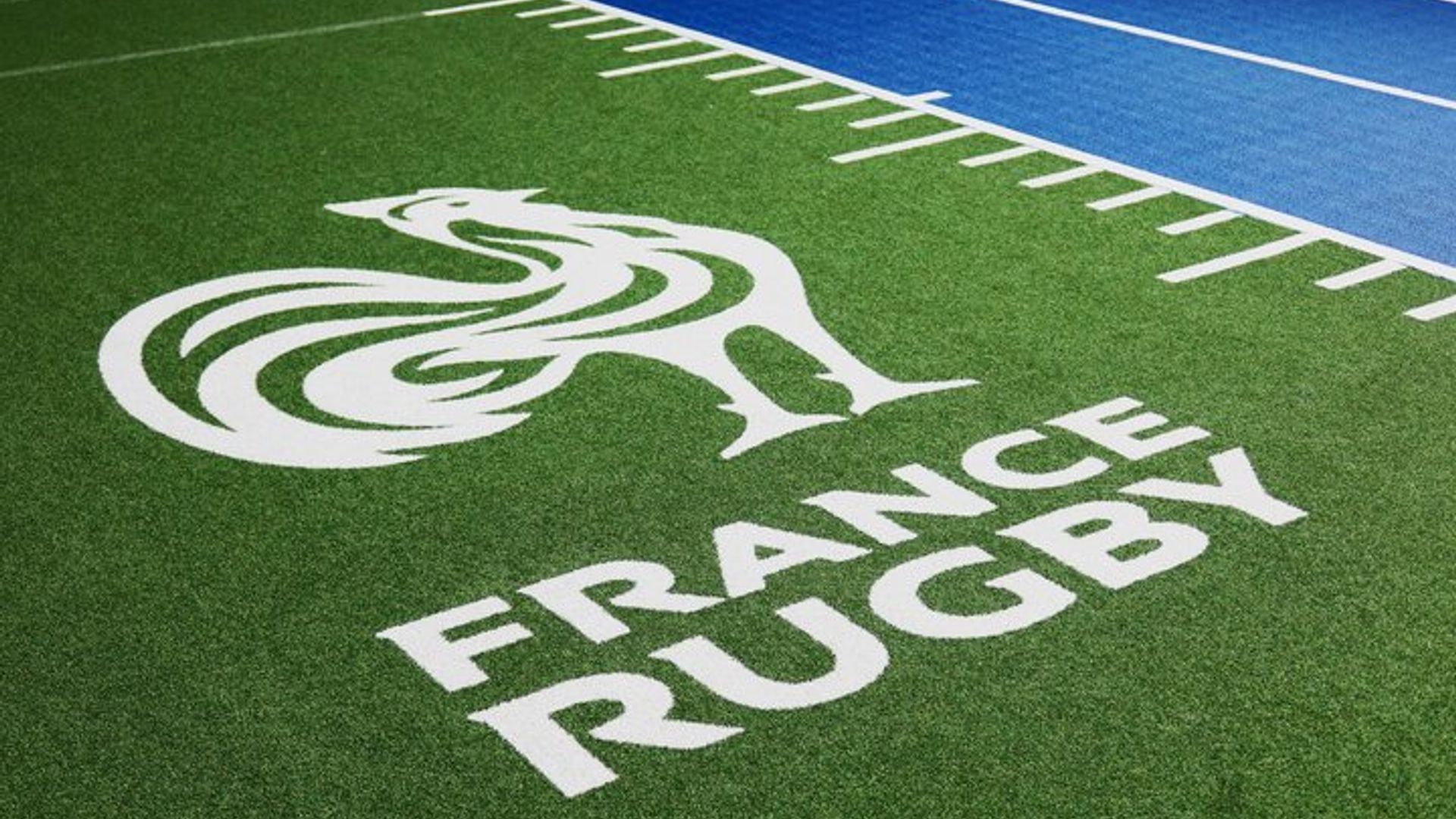 Visita guiada exclusiva al Centro Nacional de Rugby en Marcoussis.