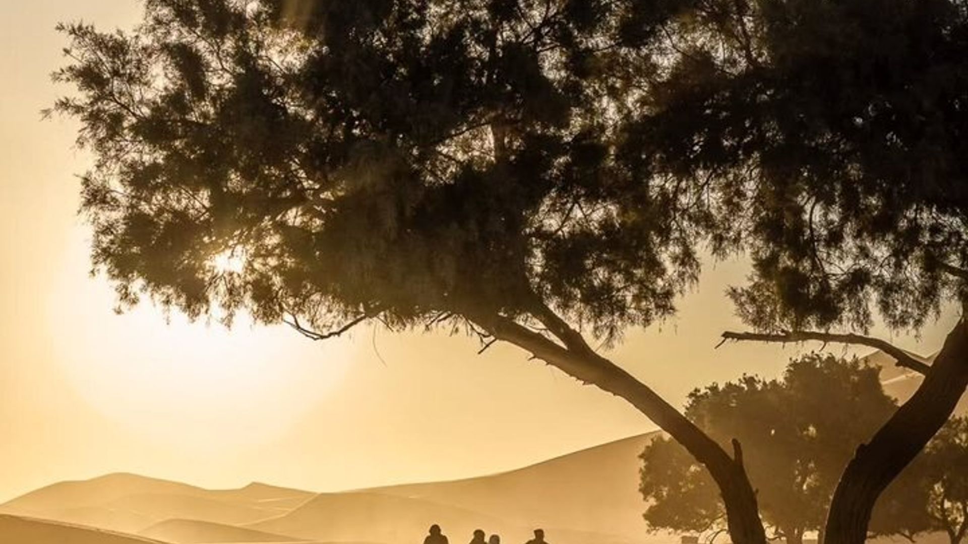 Excursión privada de un día a Ben Haddou y las montañas del Atlas desde Marrakech