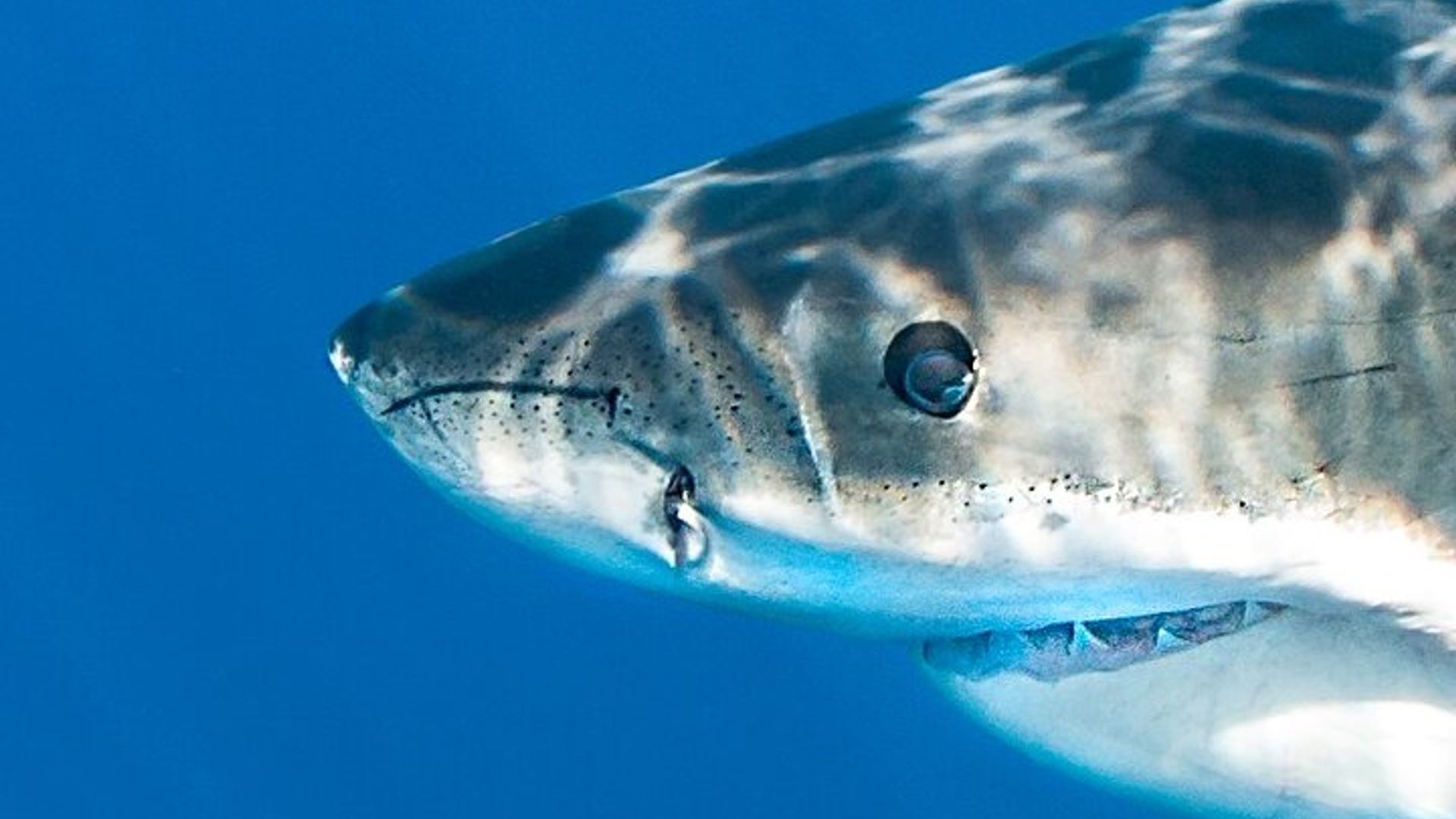 Los mejores lugares para visitar en Monterey Bay