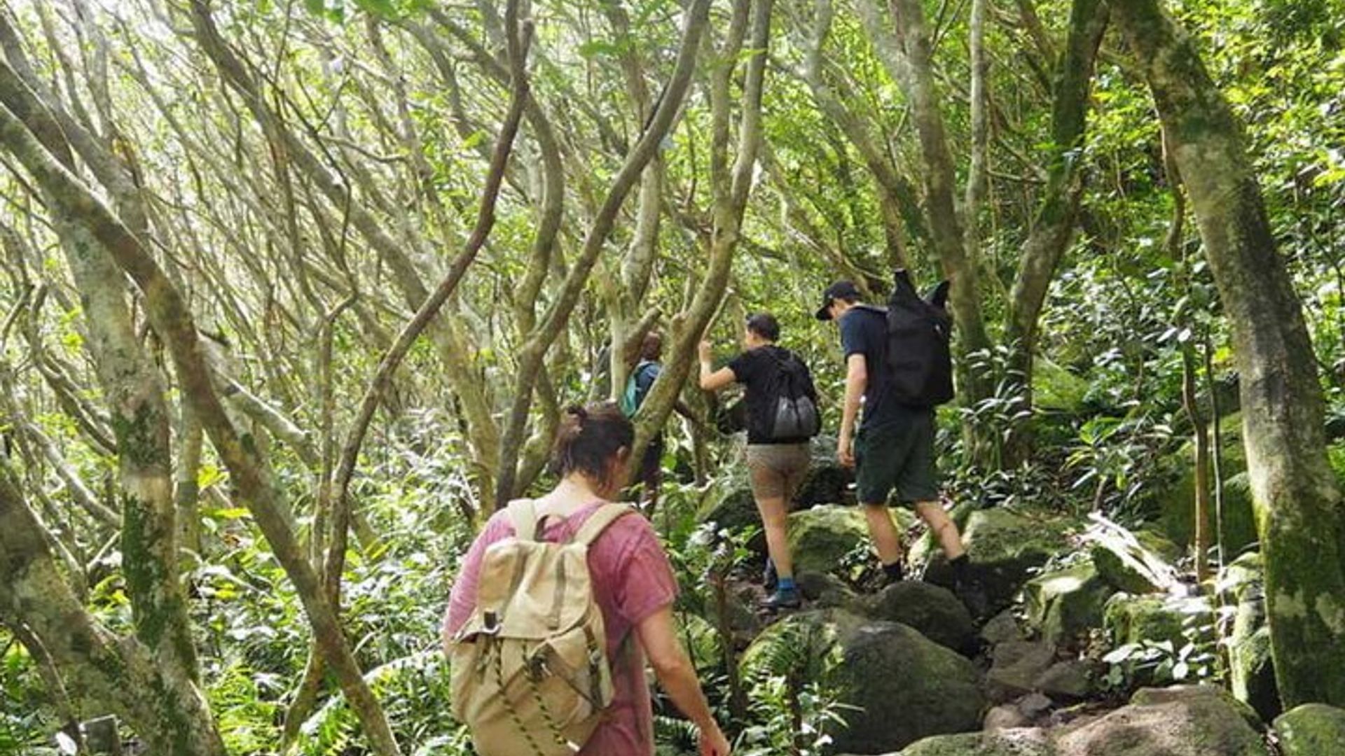 Paradise Valley Small-Group Tour from Agadir