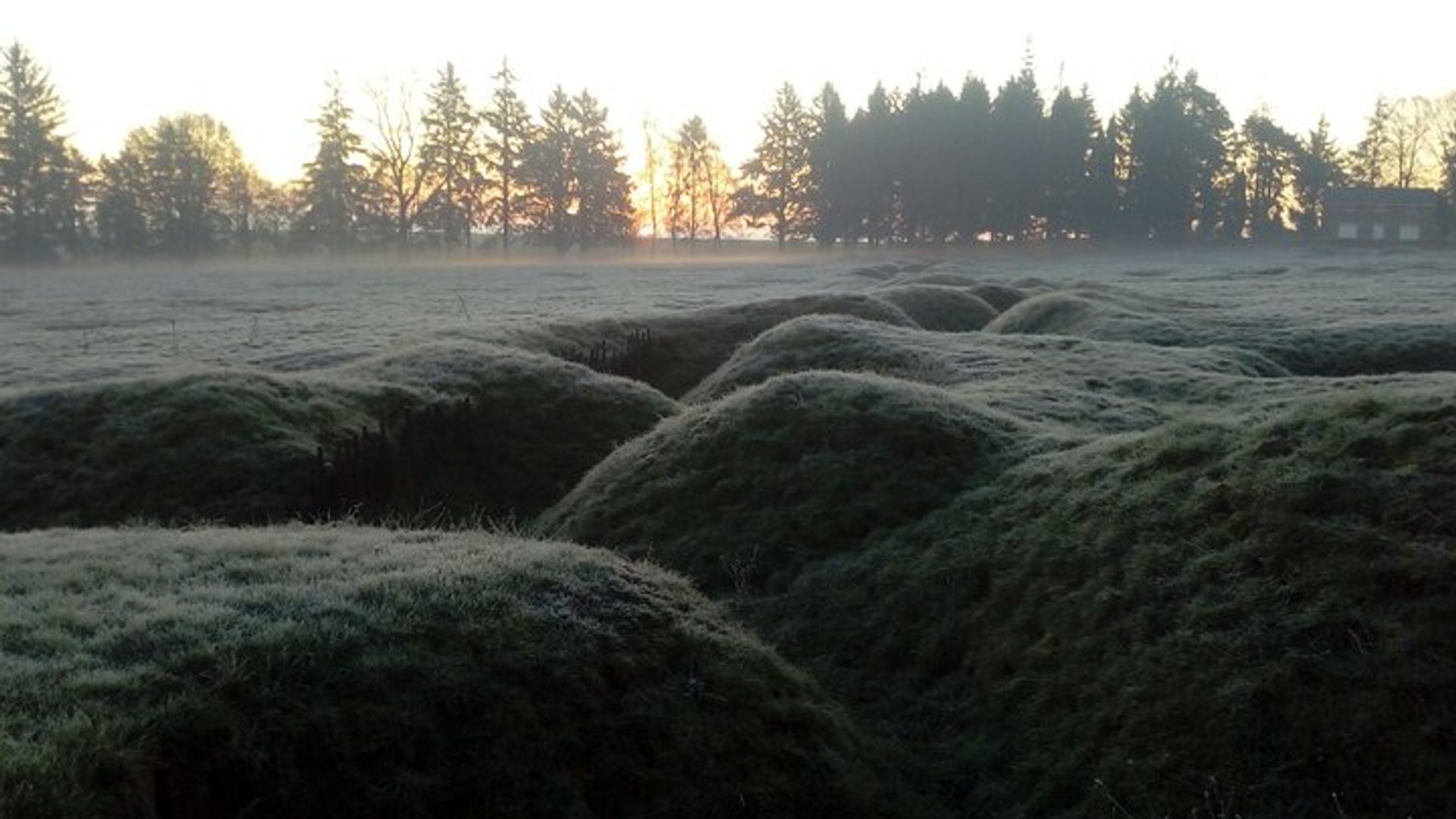 Tour privado de día completo a los campos de batalla de Nueva Zelanda desde Arras