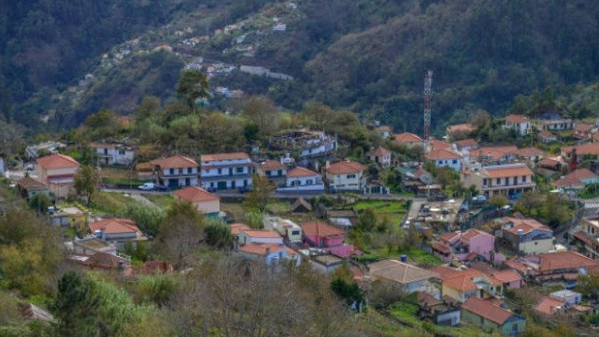 property.imageAlt