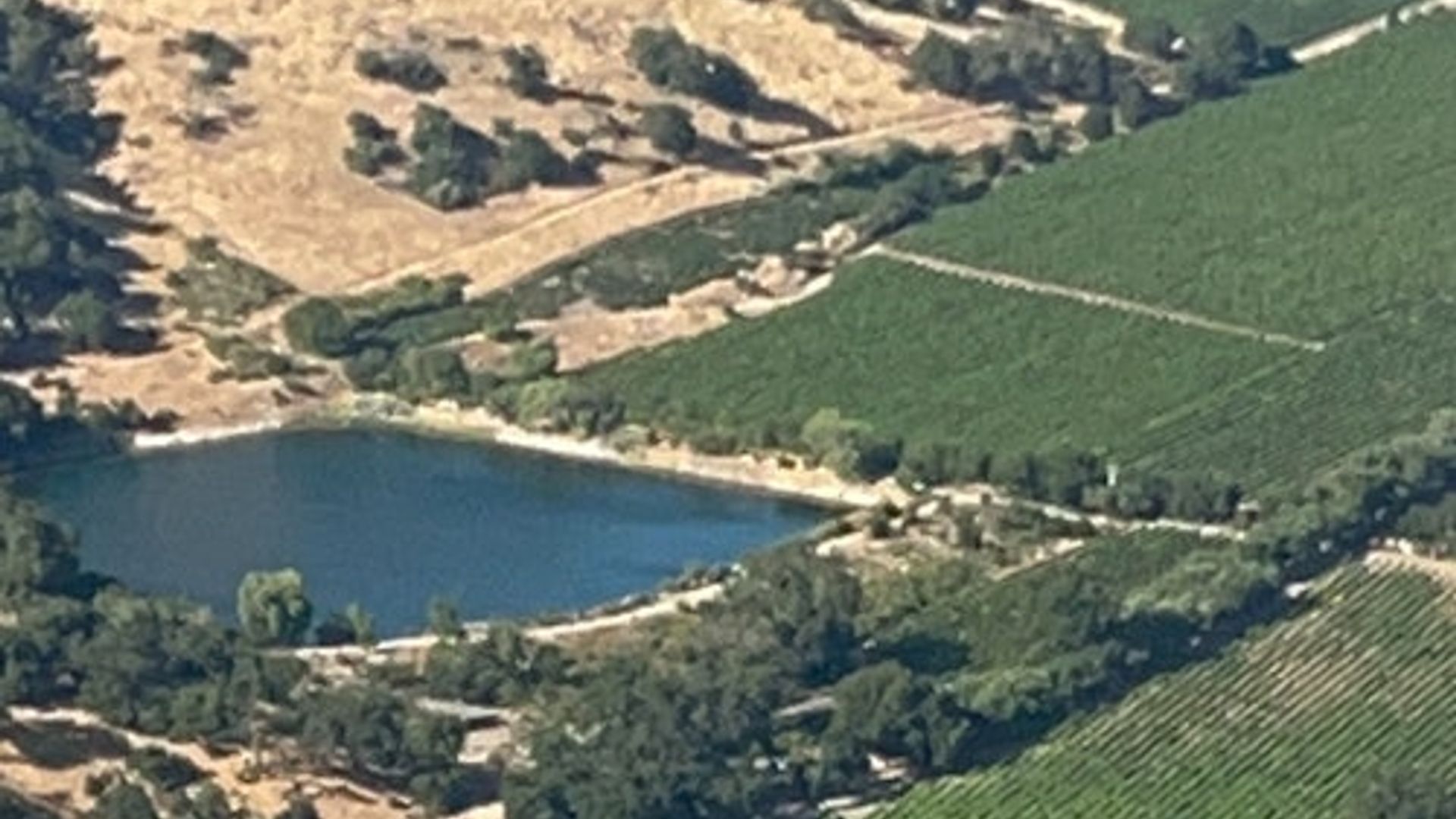 Napa Valley San Francisco: Private Airplane Tour image 2