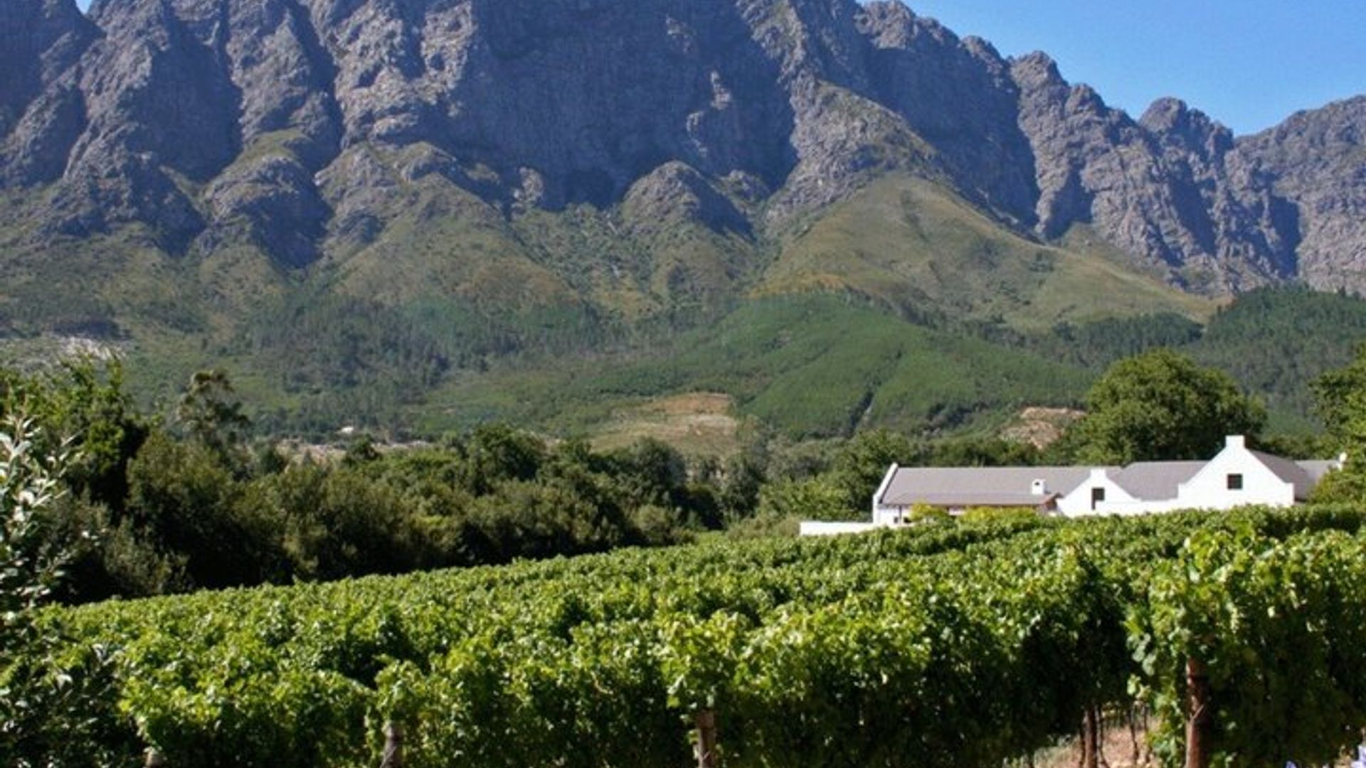 Garden Route 4 Tage Kleingruppensafari ab CapeTown startet jeden Tag