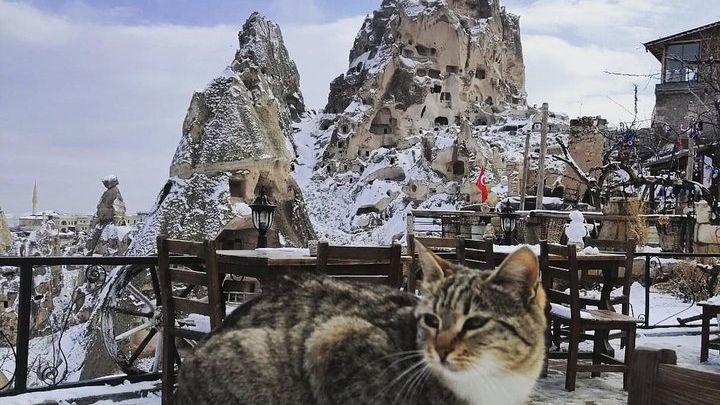 Cappadocia Private Day Trip from Istanbul with Flights & Lunch