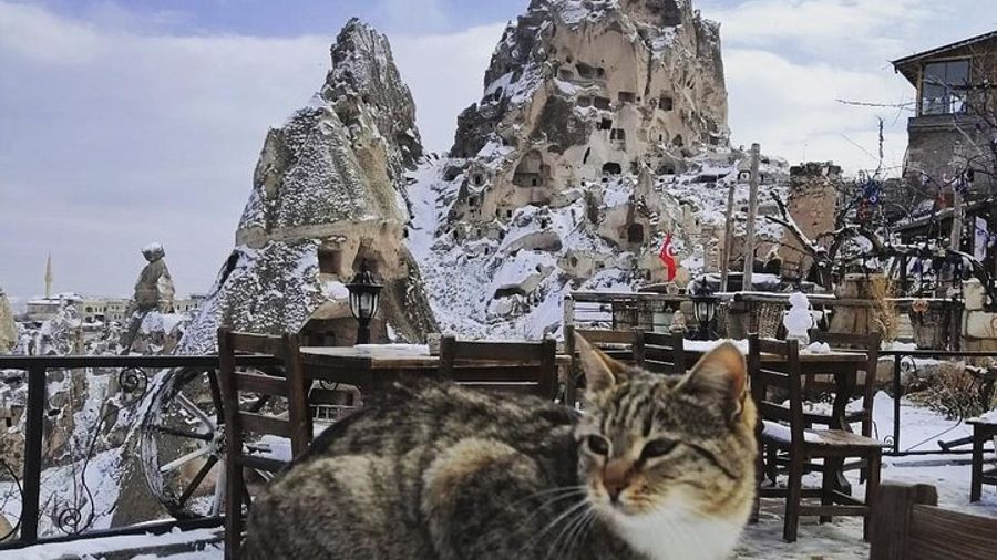 Cappadocia Private Day Trip from Istanbul with Flights & Lunch