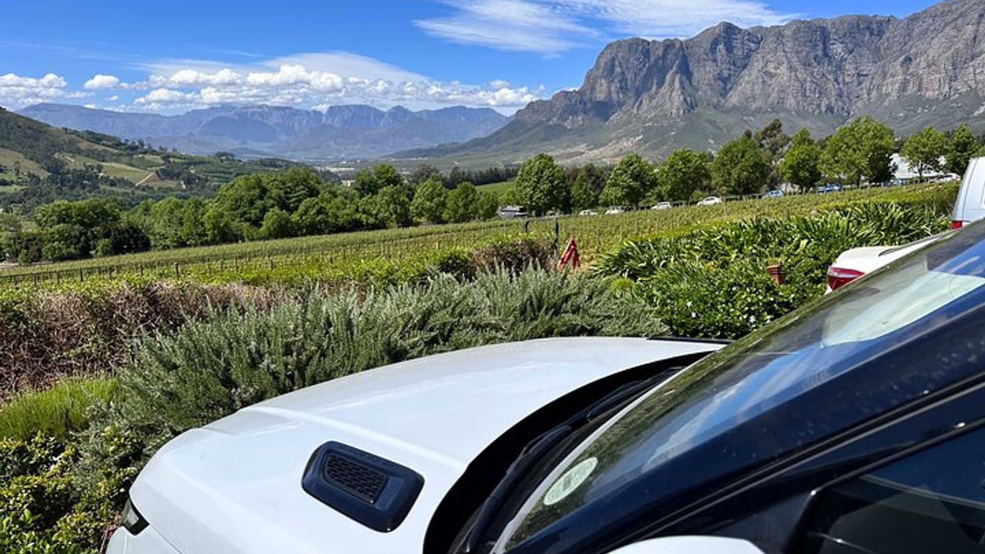 Visite privée des vins de Cape Winelands